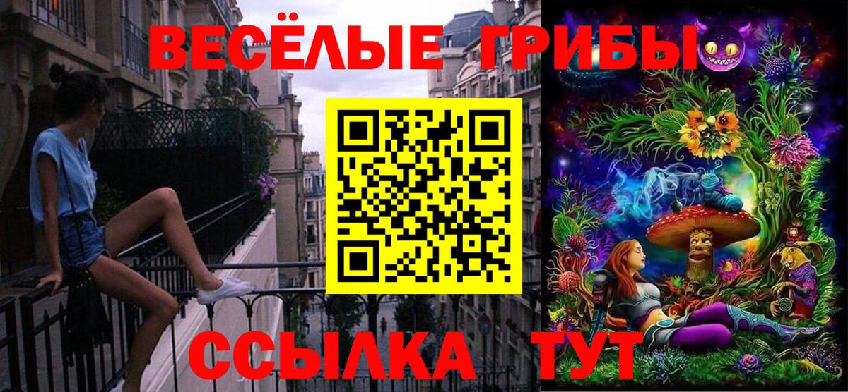 Псилоцибиновые грибы прущие грибы  Галлюциногенные грибы Psilocybine cubensis  Тосно  как найти закладки  Вход с VPN 